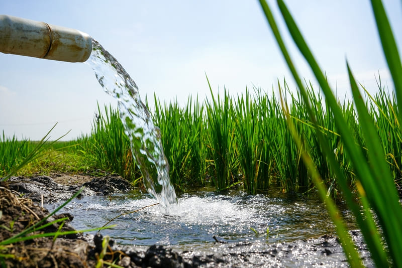 Well water testing